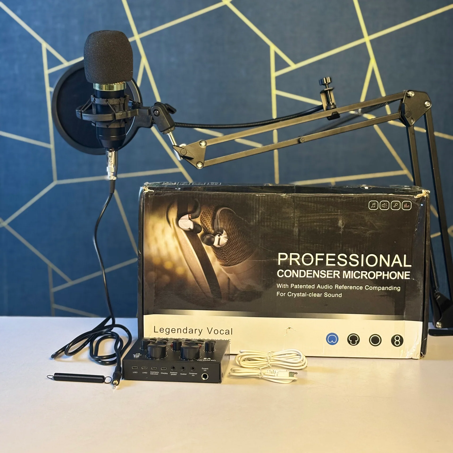 PROFESSIONAL CONDENSER MICROPHONE